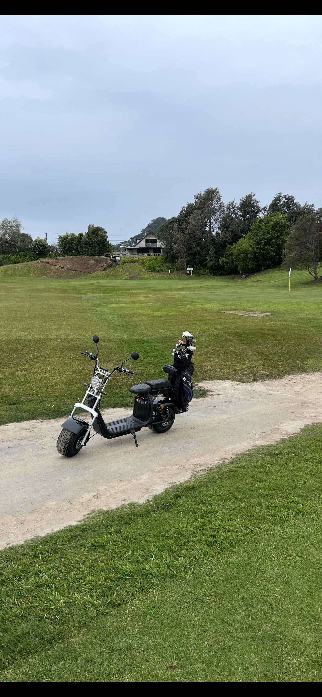 Harley Style Fat Tyre Golf Scooter